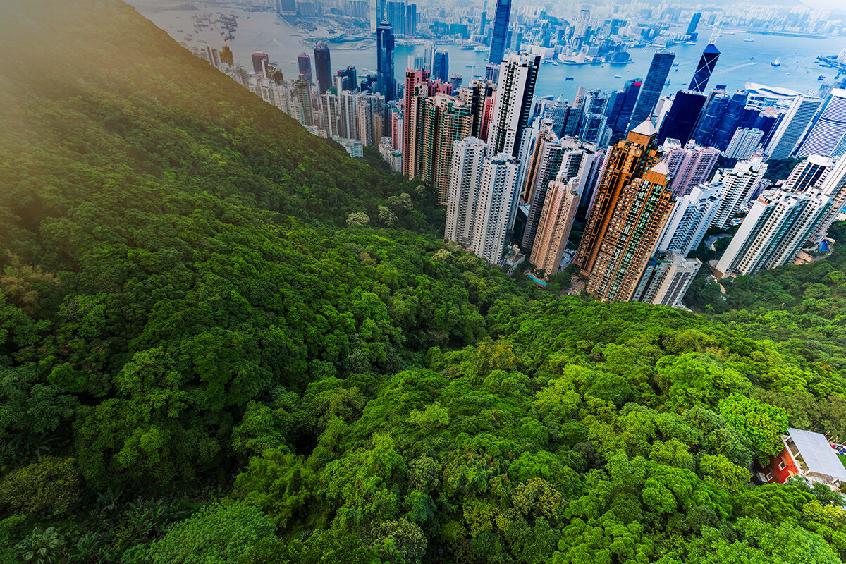 Hong Kong Mandates Full Sustainability Reporting for Public Entities by 2028