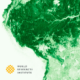 Meta, WRI, and Land & Carbon Lab Launch Global AI-Powered Tree Canopy Height Map