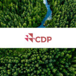 80% of Companies on Track to Meet Climate Targets Tie Executive Pay to Goals: CDP