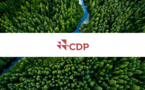 80% of Companies on Track to Meet Climate Targets Tie Executive Pay to Goals: CDP