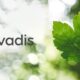 EcoVadis Launches CSRD Questionnaire to Simplify Global Supply Chain Disclosures