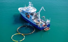 Gigablue Announces Largest-Ever Ocean Carbon Removal Agreement with SkiesFifty, Capturing 200,000 Tons