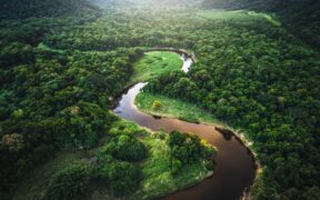 Silvania, Conservation International, and TNC Launch $1.5 Billion Amazon Protection Fund at WEF Davos