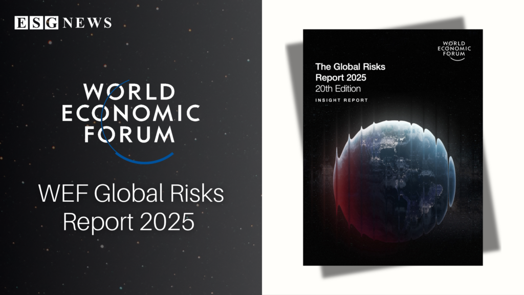 WEF Global Risks Report 2025