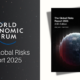 WEF Global Risks Report 2025