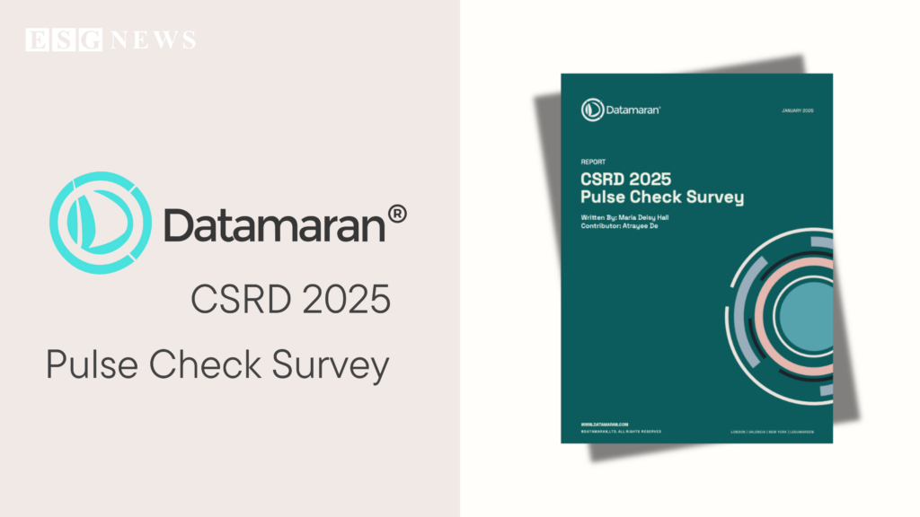 Datamaran 2025 CSRD Pulse Check Survey