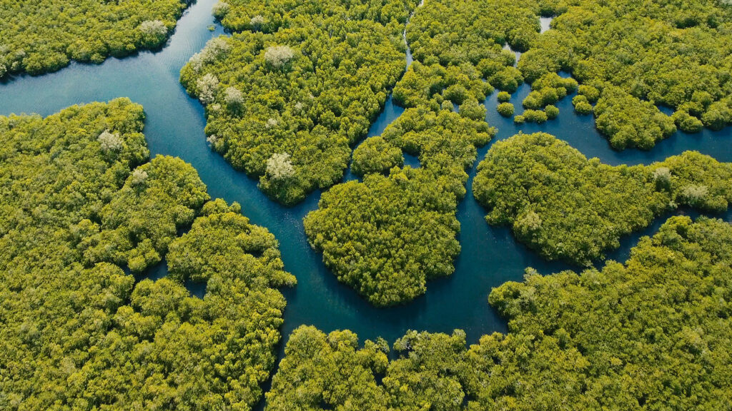 Countries Renew Efforts to Secure $200 Billion Annually for Biodiversity Amid Funding Disputes