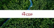New CDP Data Reveals 2,508 Climate Projects Reported in 611 Cities Across 75 Countries