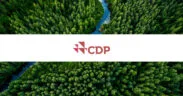 New CDP Data Reveals 2,508 Climate Projects Reported in 611 Cities Across 75 Countries