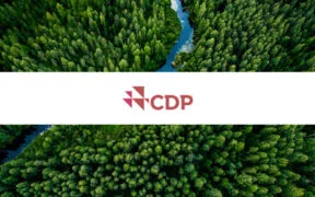 New CDP Data Reveals 2,508 Climate Projects Reported in 611 Cities Across 75 Countries