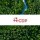 New CDP Data Reveals 2,508 Climate Projects Reported in 611 Cities Across 75 Countries