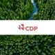 New CDP Data Reveals 2,508 Climate Projects Reported in 611 Cities Across 75 Countries