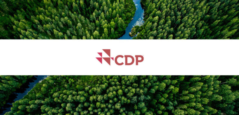 New CDP Data Reveals 2,508 Climate Projects Reported in 611 Cities Across 75 Countries