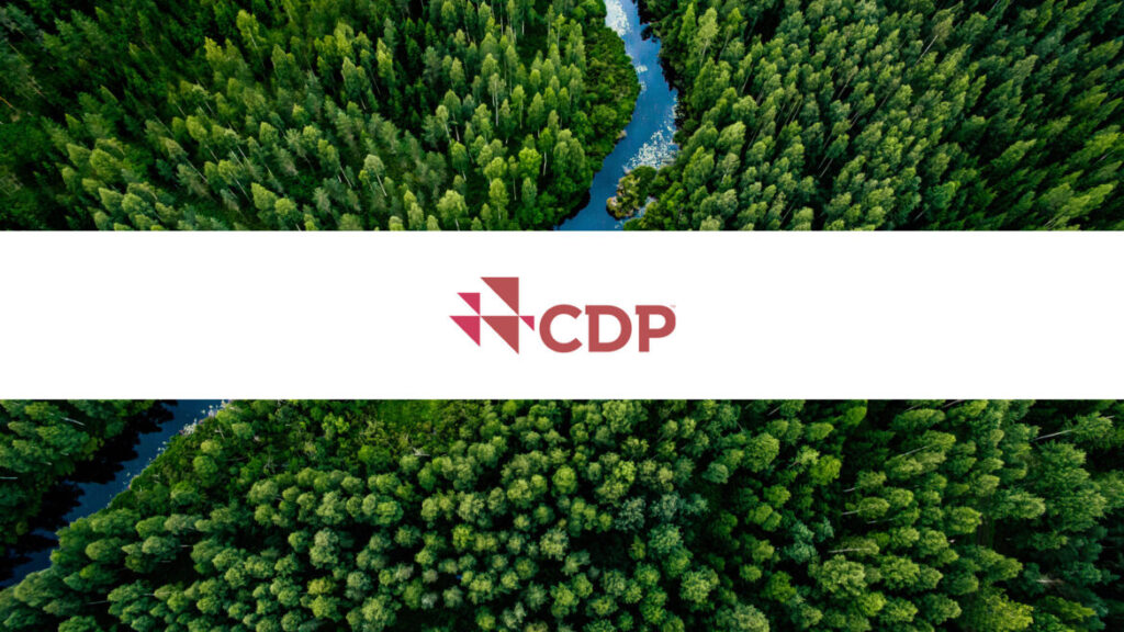 New CDP Data Reveals 2,508 Climate Projects Reported in 611 Cities Across 75 Countries