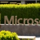 Microsoft secures 1.5 million tonnes of carbon removal credits from the Panna afforestation project in India, its largest carbon removal initiative