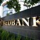 Nedbank, Norfund Invest $31 Million in Renewable Energy Firm Pele Energy