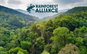 Rainforest Alliance Launches Latest Version of Its Sustainable Agriculture Standard