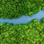 UN Nature Meetings Finalize $200B Plan to Protect Biodiversity by 2030