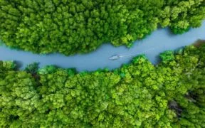 UN Nature Meetings Finalize $200B Plan to Protect Biodiversity by 2030