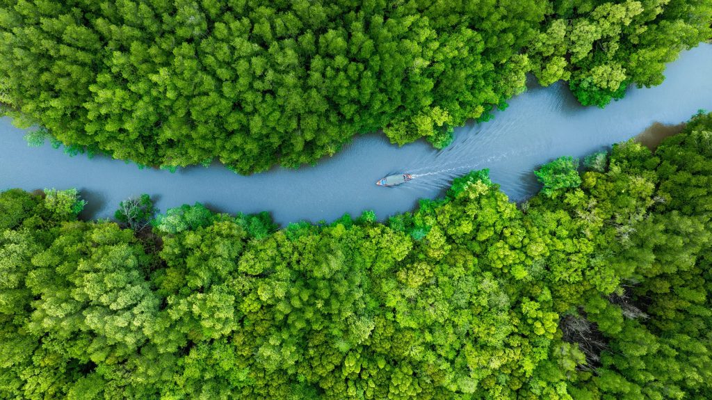 UN Nature Meetings Finalize $200B Plan to Protect Biodiversity by 2030