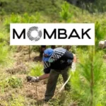 Brazil’s Mombak Raises $30 Million to Scale Amazon Reforestation and Carbon Removal Projects