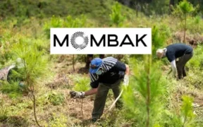 Brazil’s Mombak Raises $30 Million to Scale Amazon Reforestation and Carbon Removal Projects