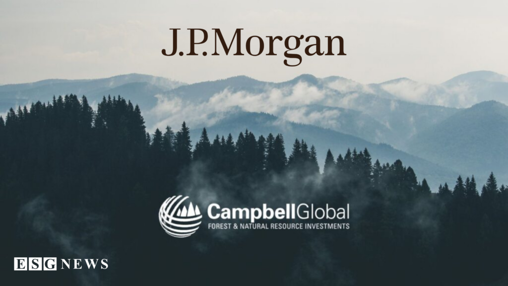 J.P. Morgan’s Campbell Global Raises $1.5 Billion for Climate-Focused Timberland Fund