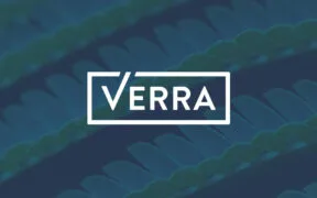 Verra Registers First Carbon Project Under ICVCM-Approved Methodology