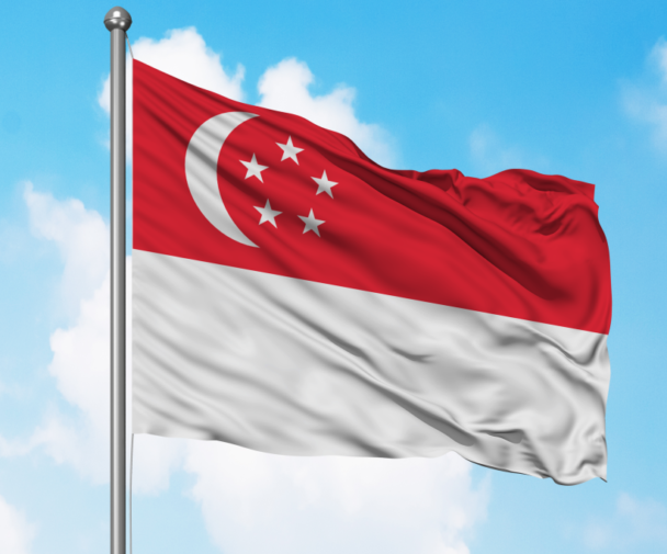 Singapore Launches Guidebook for Sustainability Reporting Training Providers
