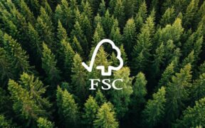 Forest Stewardship Council, Mirova Launch Partnership to Scale Sustainable Forest Finance
