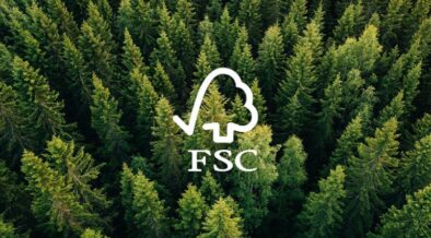 Forest Stewardship Council e Mirova lançam parceria para ampliar o financiamento florestal sustentável