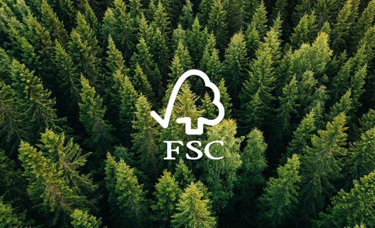 Forest Stewardship Council, Mirova Launch Partnership to Scale Sustainable Forest Finance