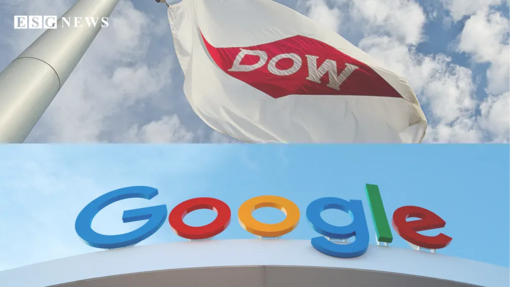 Google, Dow Partner to Use AI Sorting Tech to Recycle Hard-to-Process Plastics