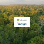 Microsoft Expands Climate Portfolio with 60,000 Soil Carbon Credits from Indigo Ag