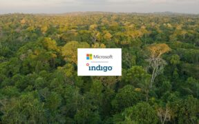 Microsoft Expands Climate Portfolio with 60,000 Soil Carbon Credits from Indigo Ag