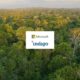 Microsoft Expands Climate Portfolio with 60,000 Soil Carbon Credits from Indigo Ag