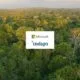 Microsoft Expands Climate Portfolio with 60,000 Soil Carbon Credits from Indigo Ag