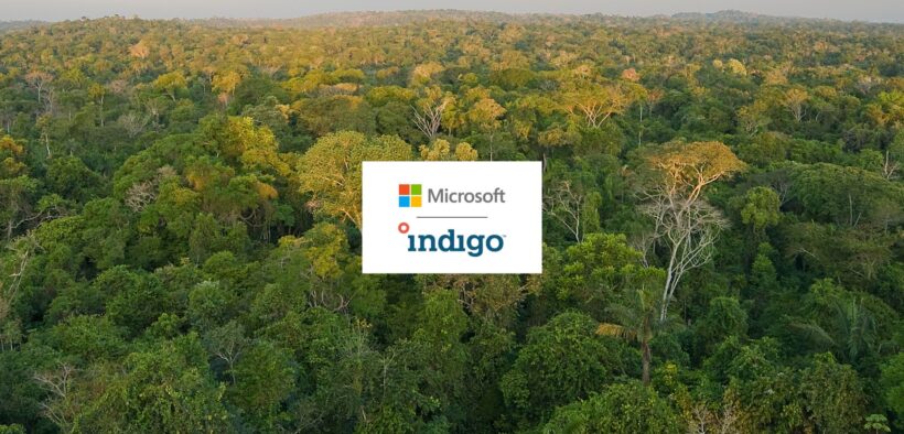 Microsoft Expands Climate Portfolio with 60,000 Soil Carbon Credits from Indigo Ag