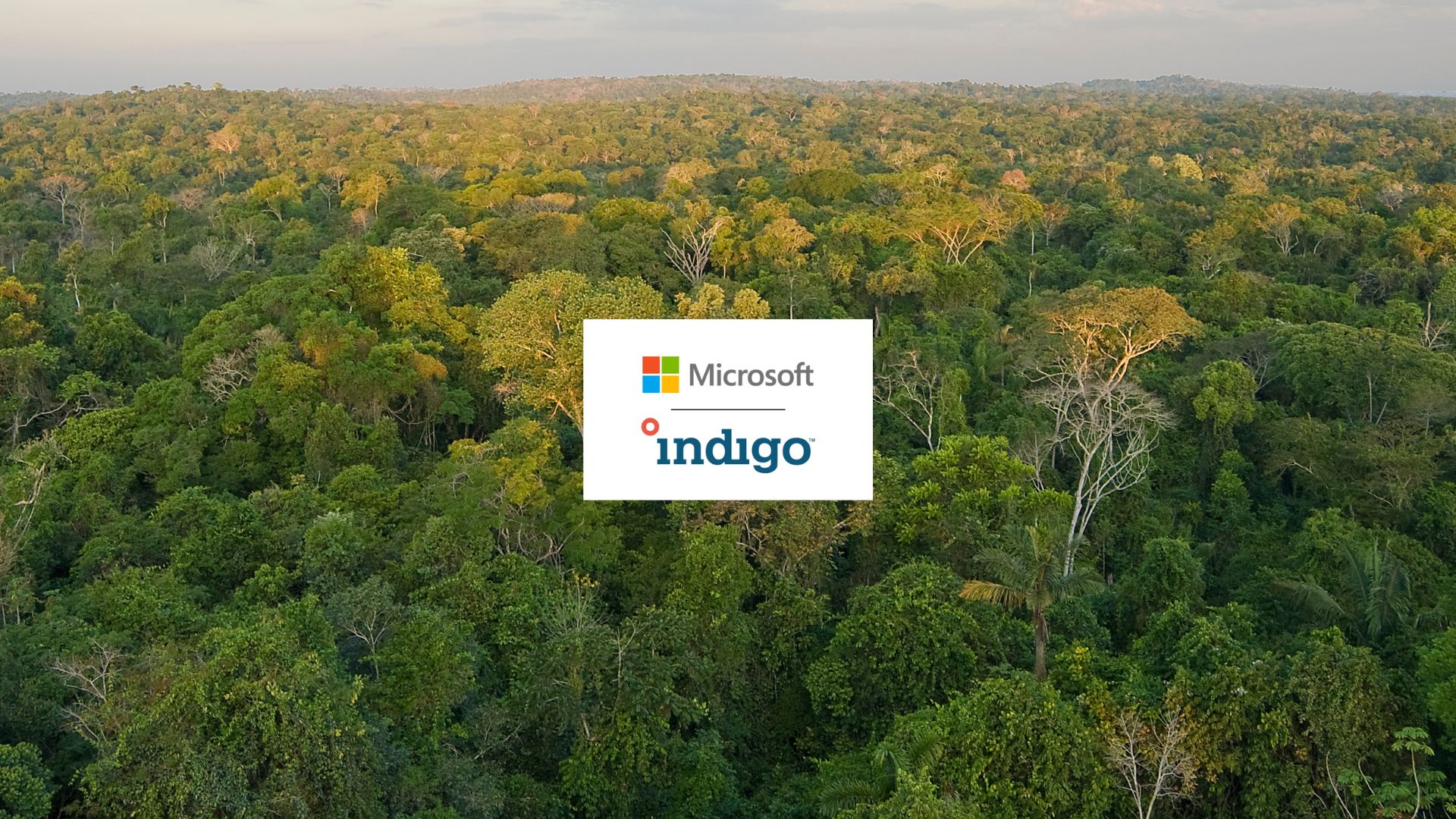 Microsoft Expands Climate Portfolio with 60,000 Soil Carbon Credits from Indigo Ag