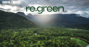 re.green Secures USD $16 million from Brazil’s Climate Fund