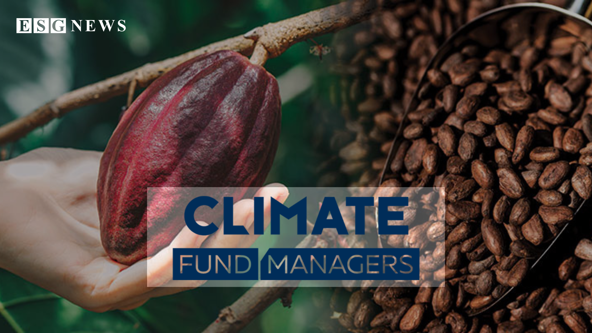 CFM and SODEN Launch First-Ever Cocoa Waste-to-Energy Plant to Power 1.4M in Côte d’Ivoire