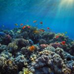 Clean Oceans Initiative 2.0 Targets €3B to Combat Plastic Pollution and Boost Circular Economy