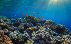 Clean Oceans Initiative 2.0 Targets €3B to Combat Plastic Pollution and Boost Circular Economy