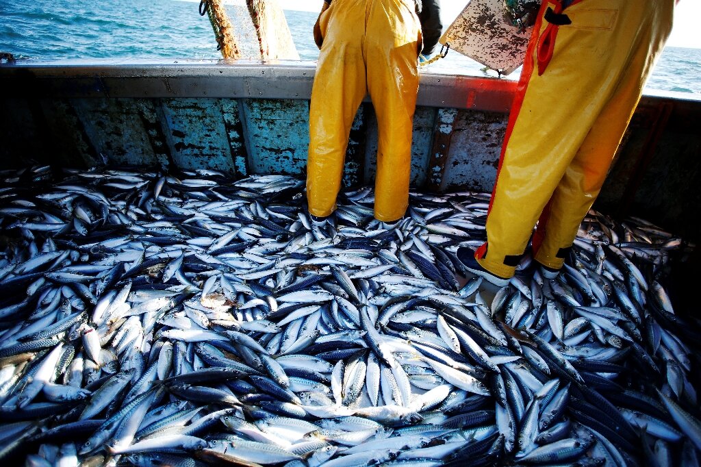 EU Secures Tougher Rules to Curb Unsustainable Fishing by Third World Countries