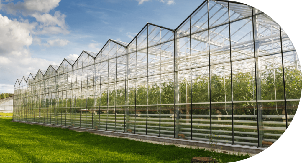 Europe’s Largest Low-Carbon Greenhouse Breaks Ground in Essex