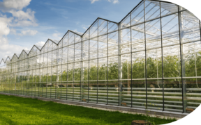 Europe’s Largest Low-Carbon Greenhouse Breaks Ground in Essex