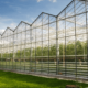 Europe’s Largest Low-Carbon Greenhouse Breaks Ground in Essex