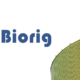 Biorig to Invest Over €300M in Italian Biomethane Expansion by 2030