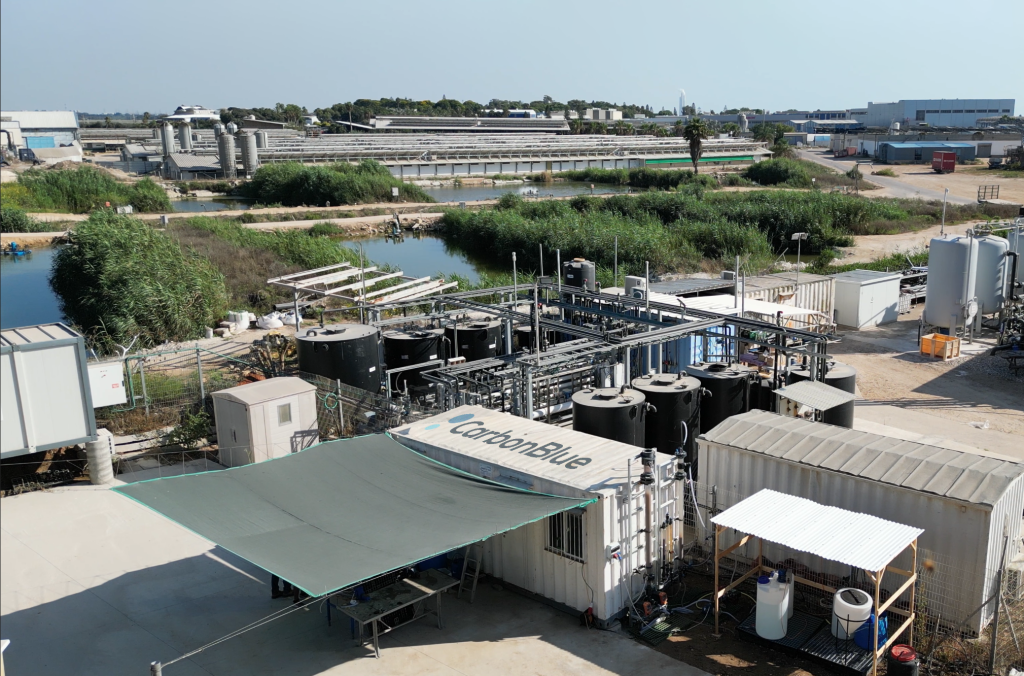 CarbonBlue Launches First CO₂ Removal System in Desalination Plant