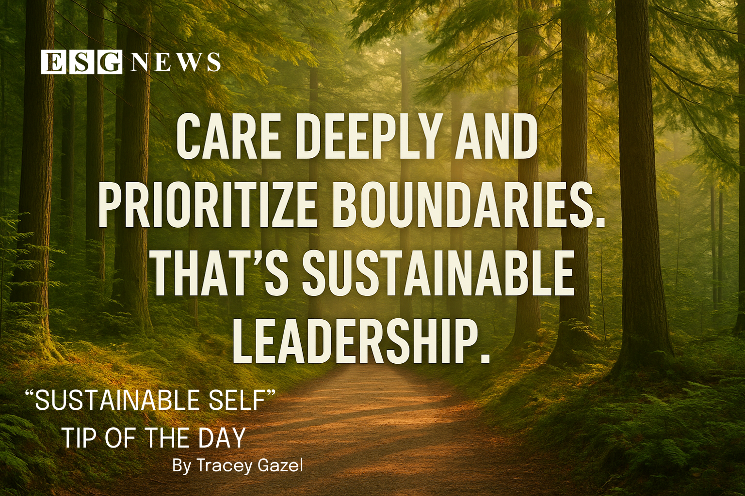 forest depicting sustainable leadership and calmness for ESG